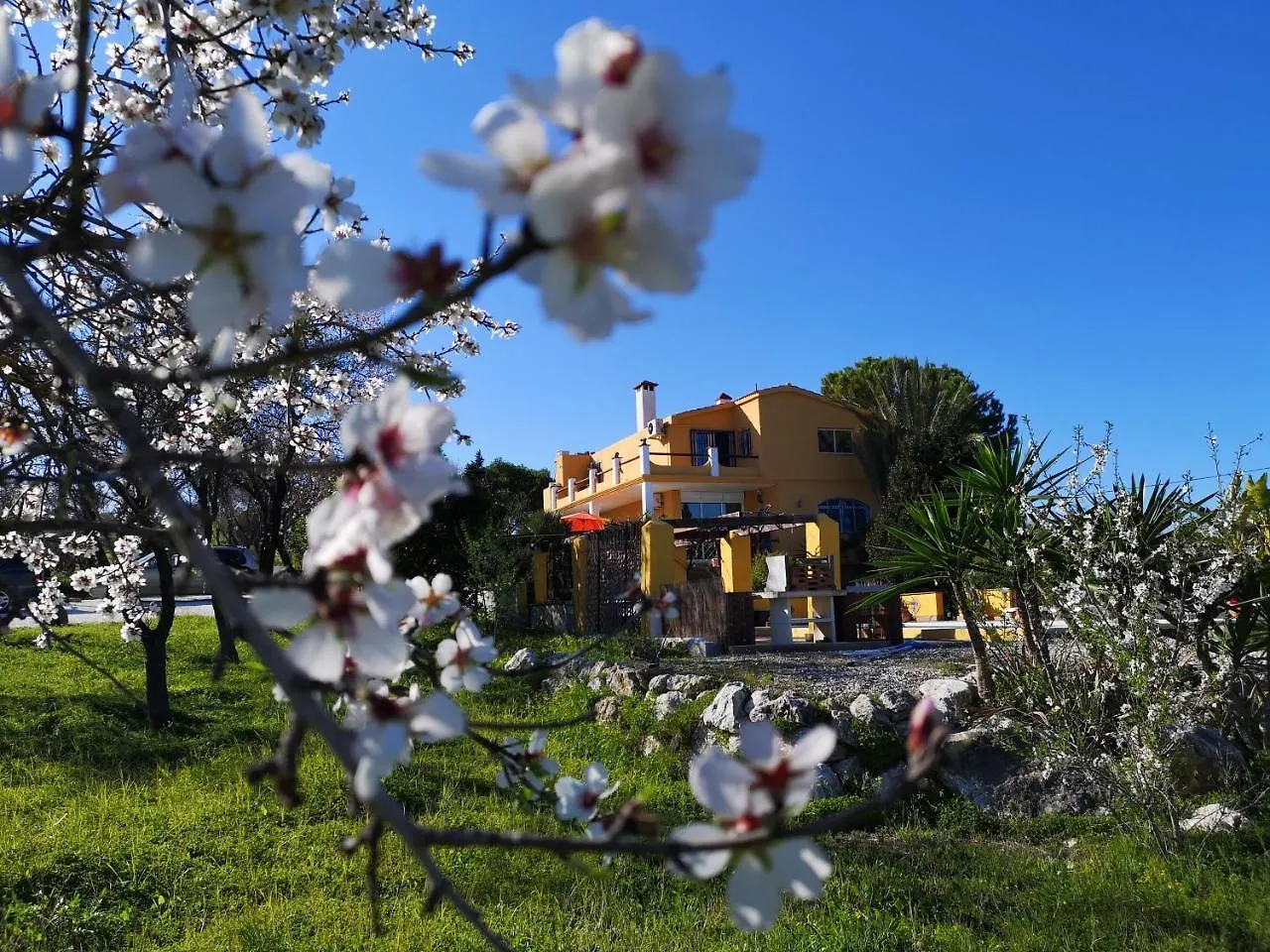 Finca Del Sol Guest House Coin Country house